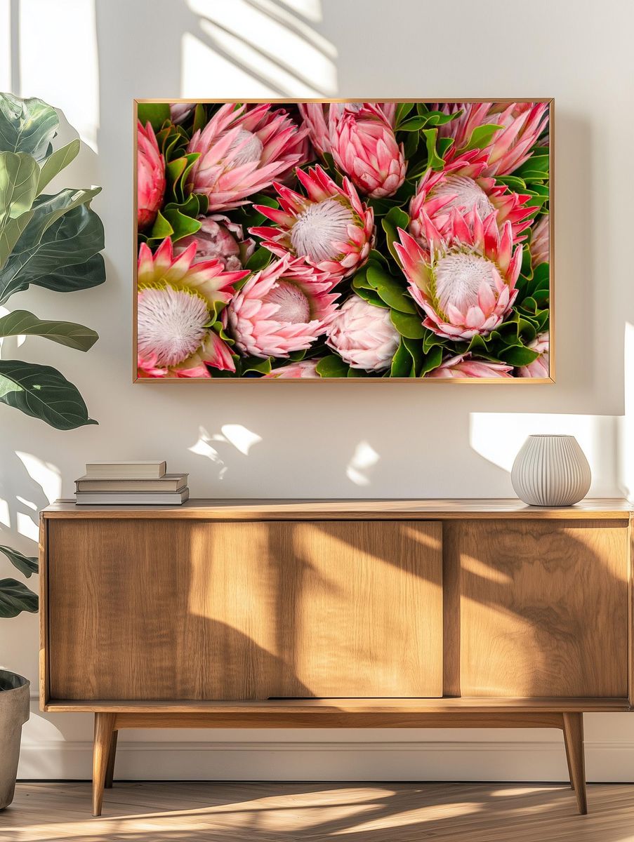 Originally South Africa, lush protea. — room view 3
