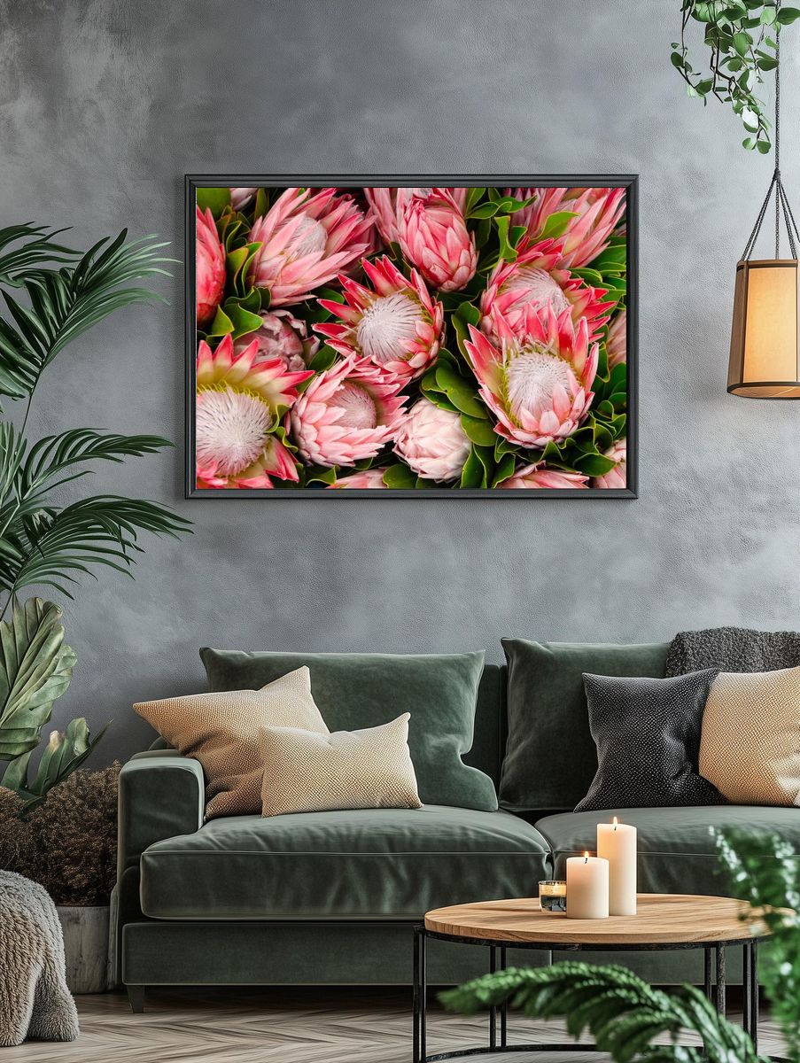 Originally South Africa, lush protea. — room view 4