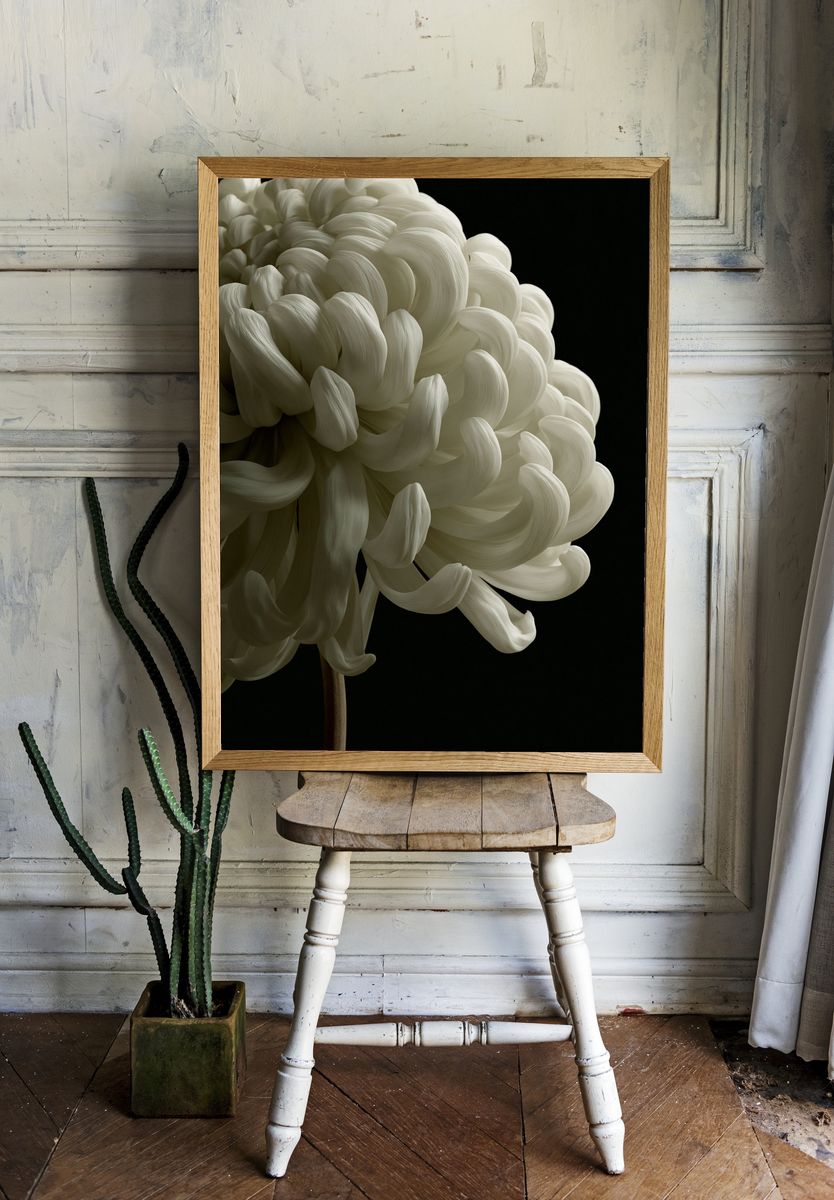 White Chrysanthemum Photography Poster. — room view 1