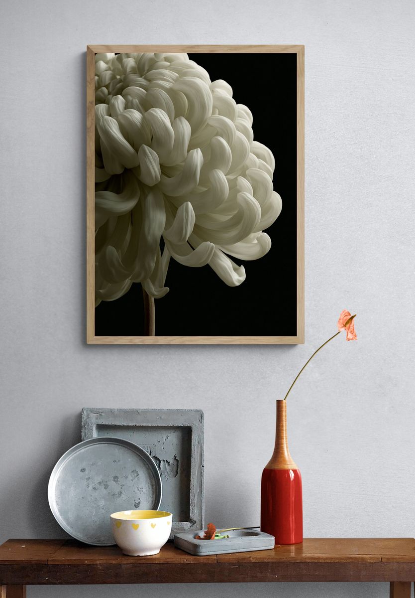 White Chrysanthemum Photography Poster. — room view 3