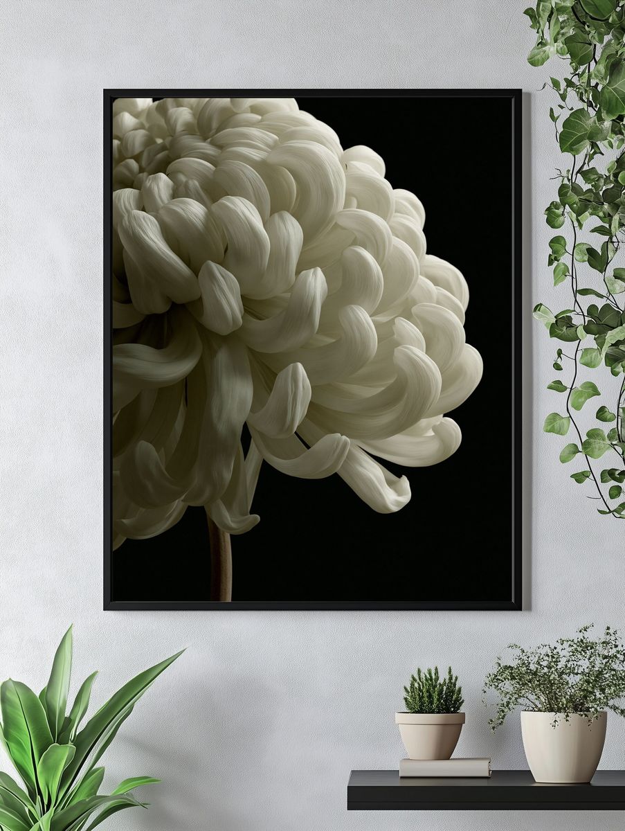 White Chrysanthemum Photography Poster. — room view 4