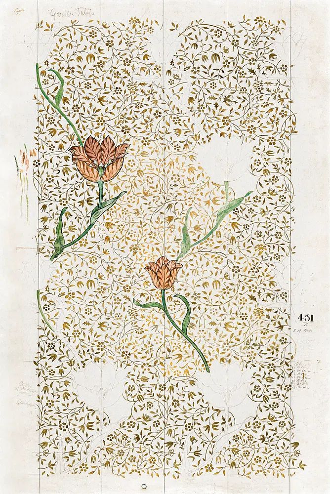 William Morris 's Garden Tulip. poster — botanical art