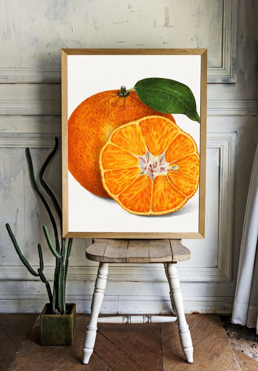 Delicious orange tangerine illustration. Digitally. — room view 1