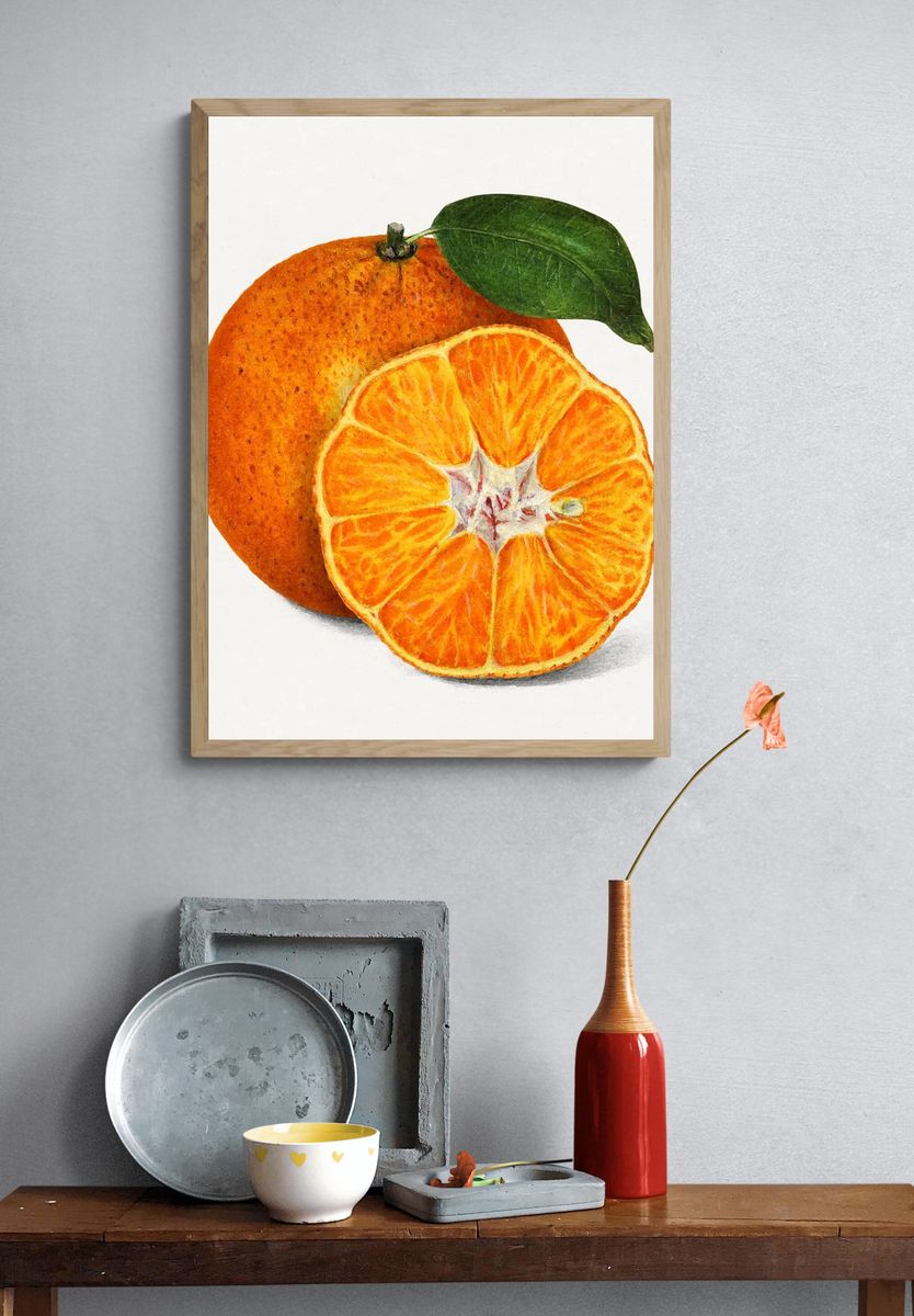 Delicious orange tangerine illustration. Digitally. — room view 3