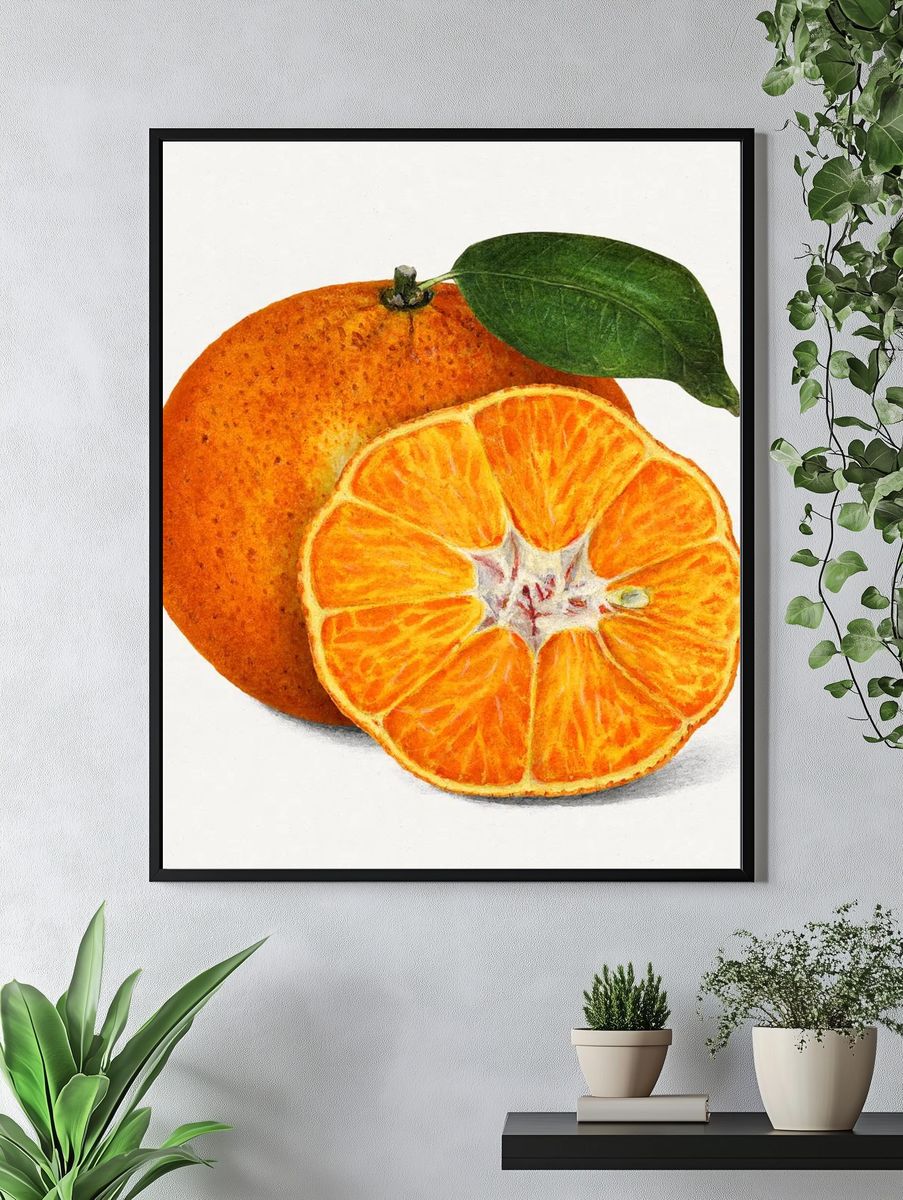 Delicious orange tangerine illustration. Digitally. — room view 4