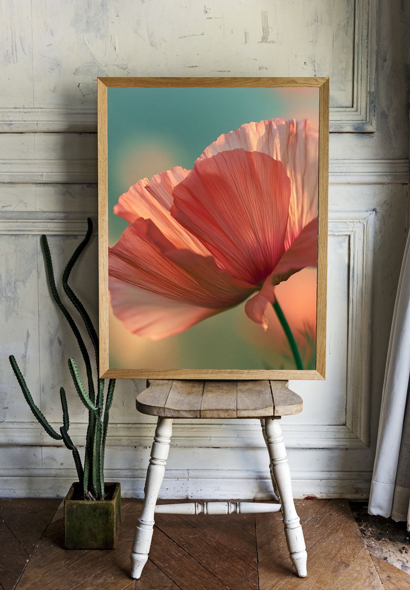Pink Poppy Bloom Photography Poster. room preview