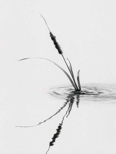Ink Reed Reflection Print. poster