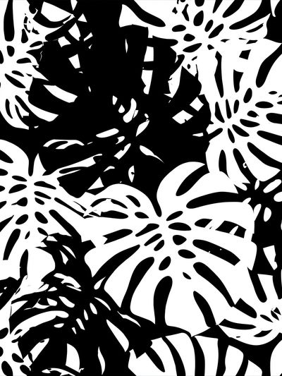 Monstera Leaf Pattern Print. poster