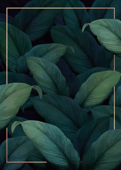 Green tropical leaves patterned poster.