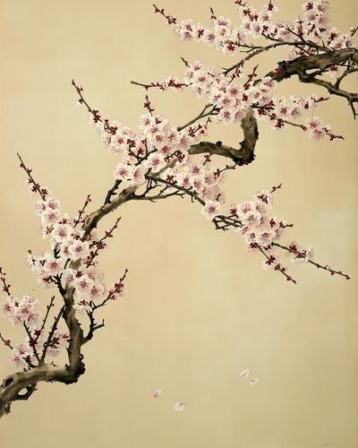 Cherry Blossom Branches Botanical Print. poster