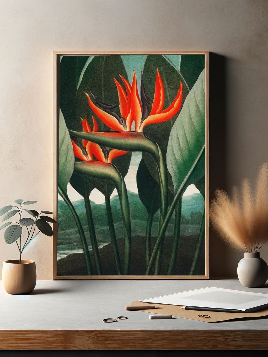 Bird of Paradise Botanical Print. — room view 2