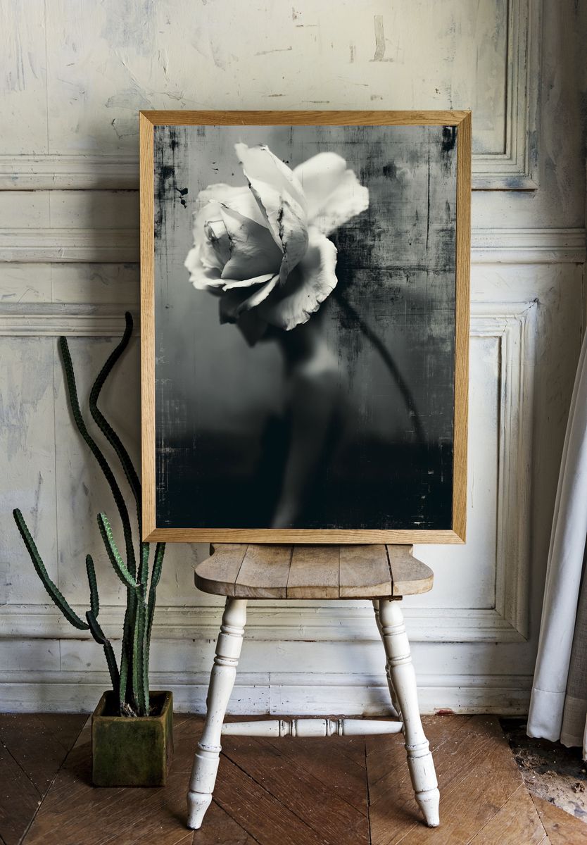 White Rose Black-White Print. room preview