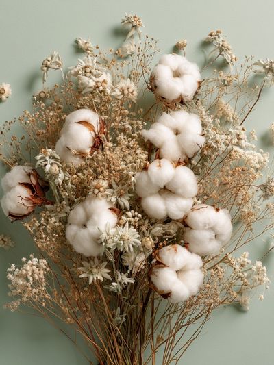 Cotton Bouquet Botanical Print. poster
