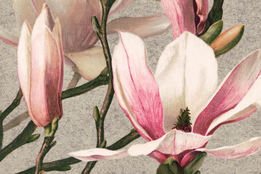 Vintage flower desktop wallpaper, background. poster detail