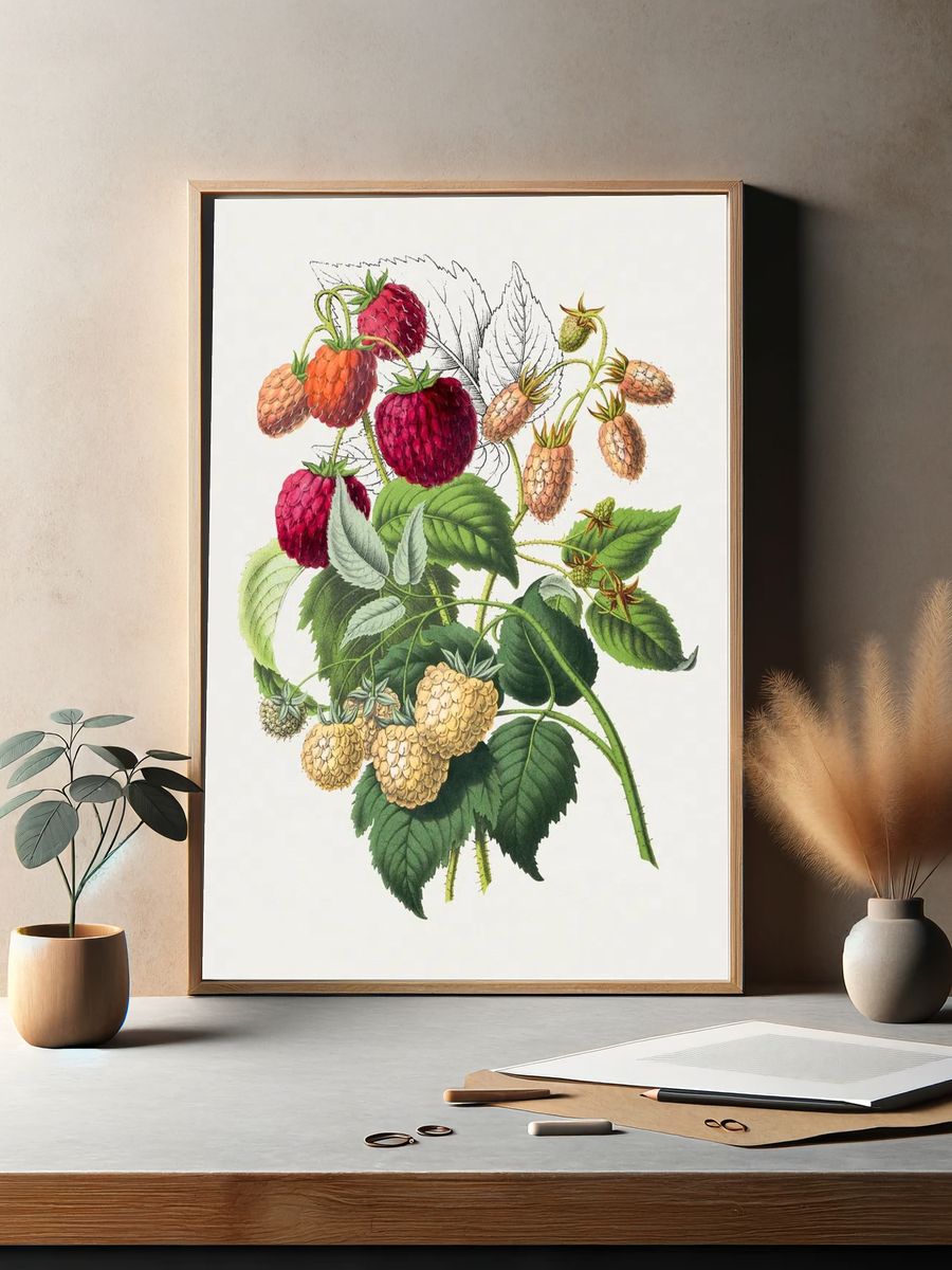 Vintage strawberry. Original Biodiversity Heritage. — room view 2