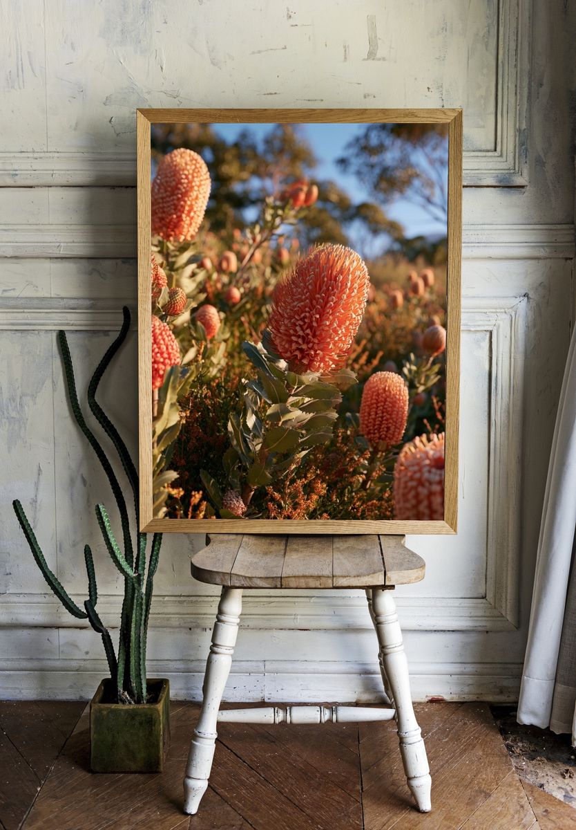 Orange Wildflower Field Photography Poster. — room view 1