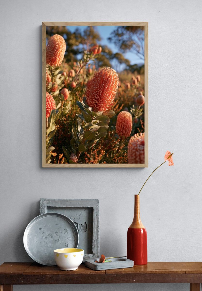 Orange Wildflower Field Photography Poster. — room view 3