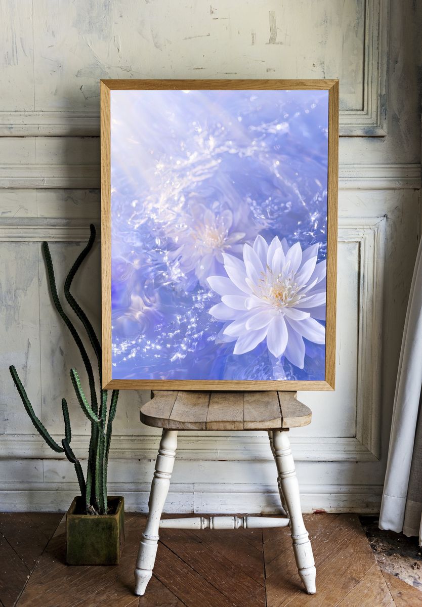 Floating Water Lily Photography Poster. room preview