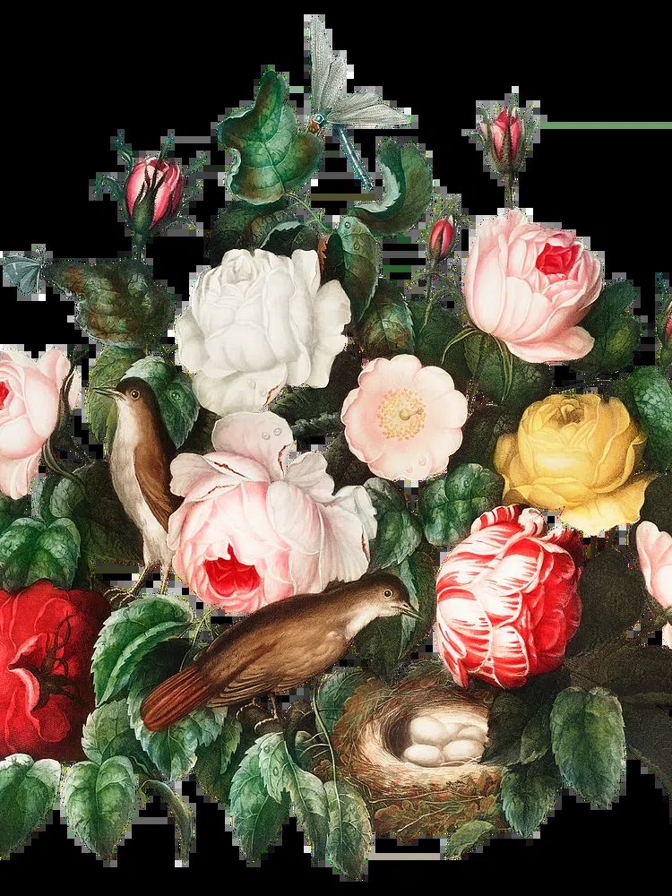 Wildflower Meadow Botanical Print. poster detail