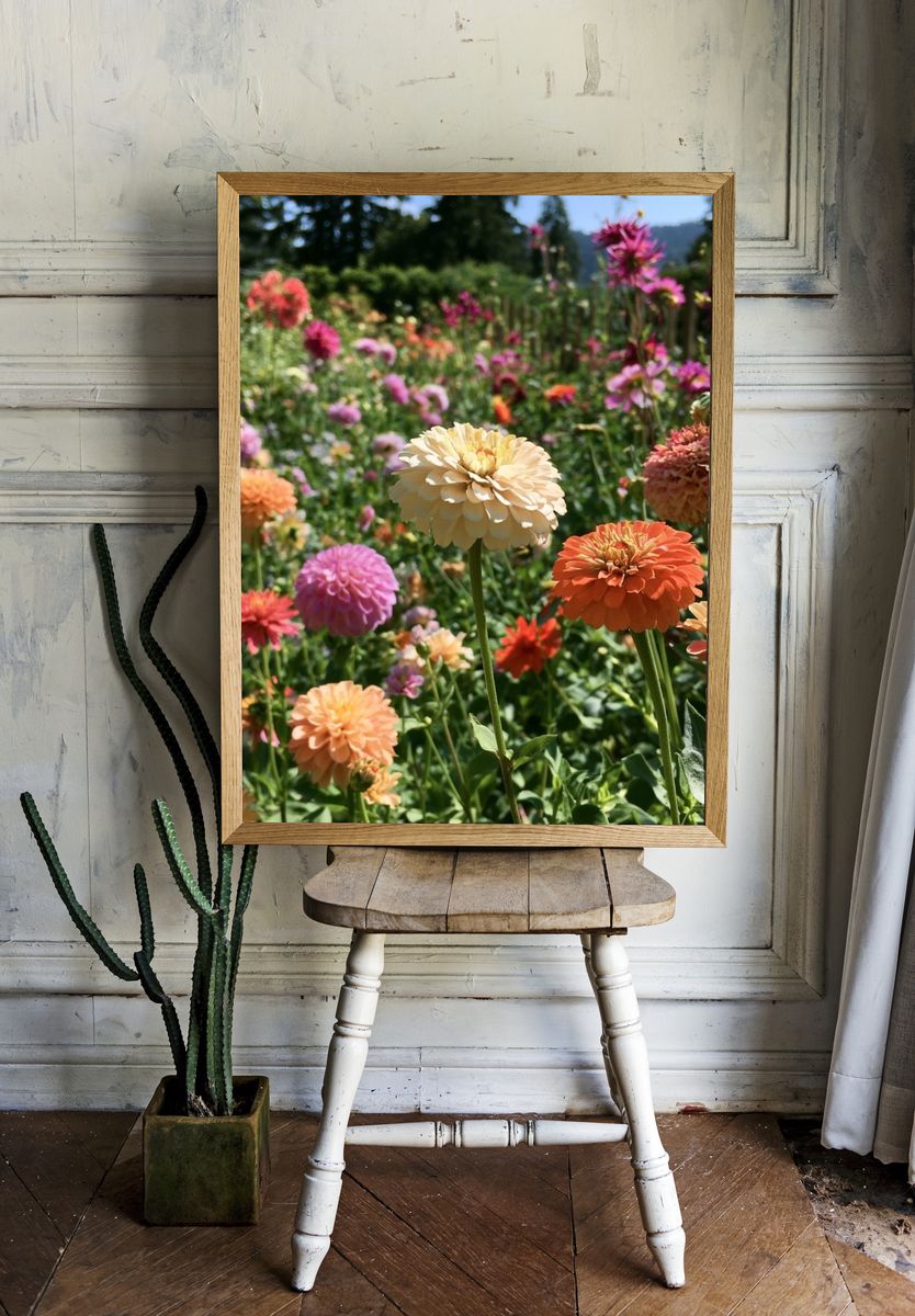 Colorful Zinnia Garden Poster. room preview
