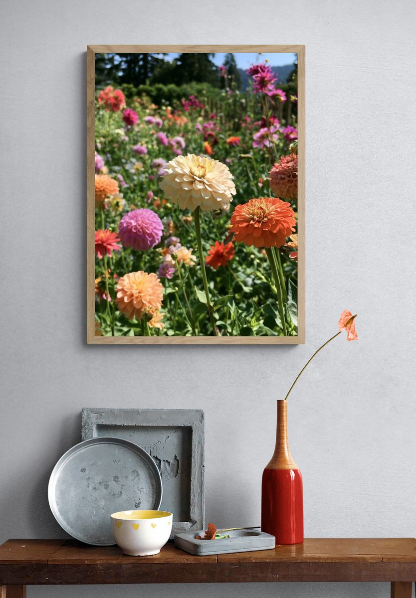 Colorful Zinnia Garden Poster. — room view 3