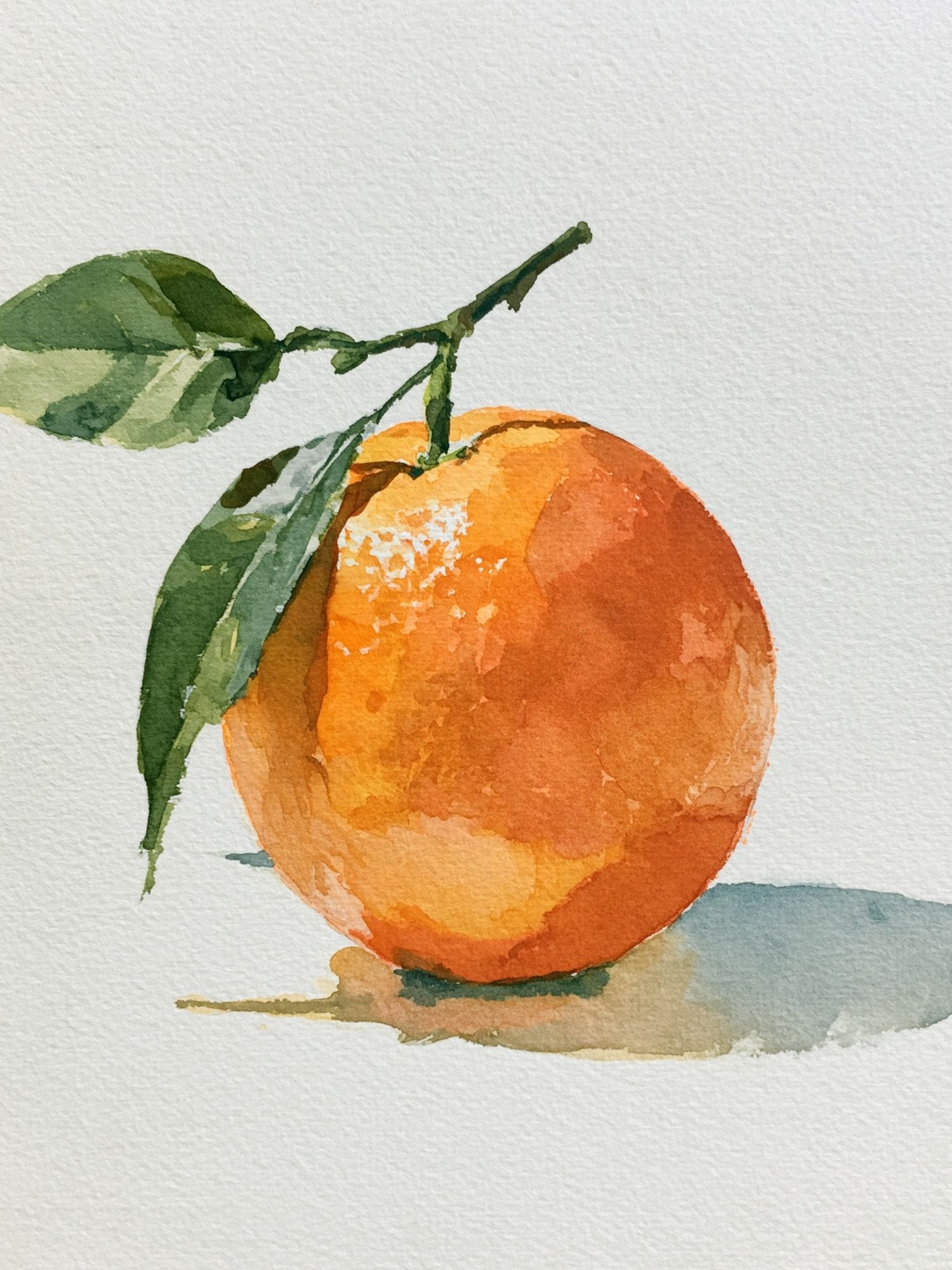 Orange Watercolor Fruit Poster. poster detail