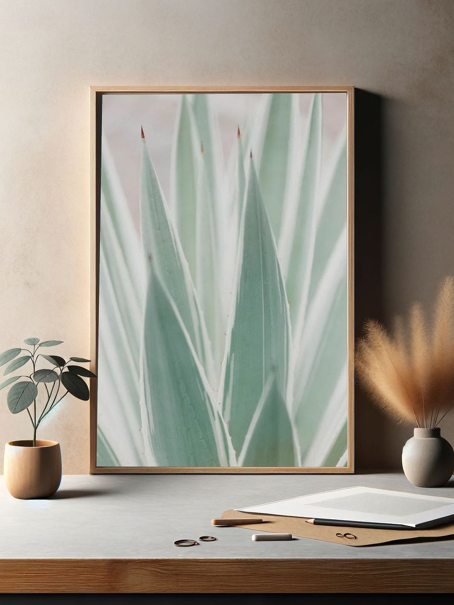 Close Sansevieria plant. — room view 2