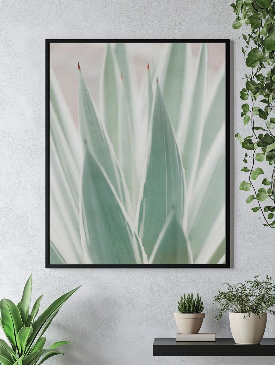 Close Sansevieria plant. — room view 4