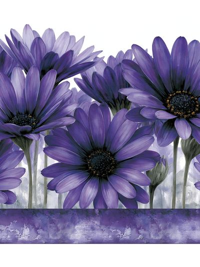 Purple Daisy Bouquet Illustration Poster. poster