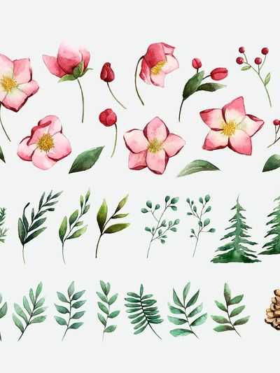 Watercolor set winter flowers leaves.