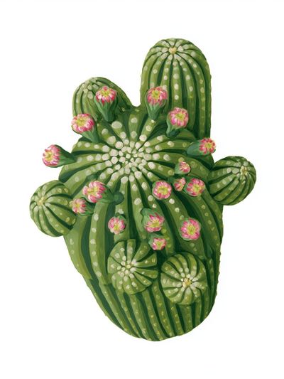 Blooming Cactus Illustration Poster.