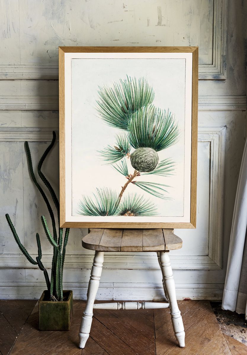 Gayo matsu pine 1870–1880 Megata. — room view 1