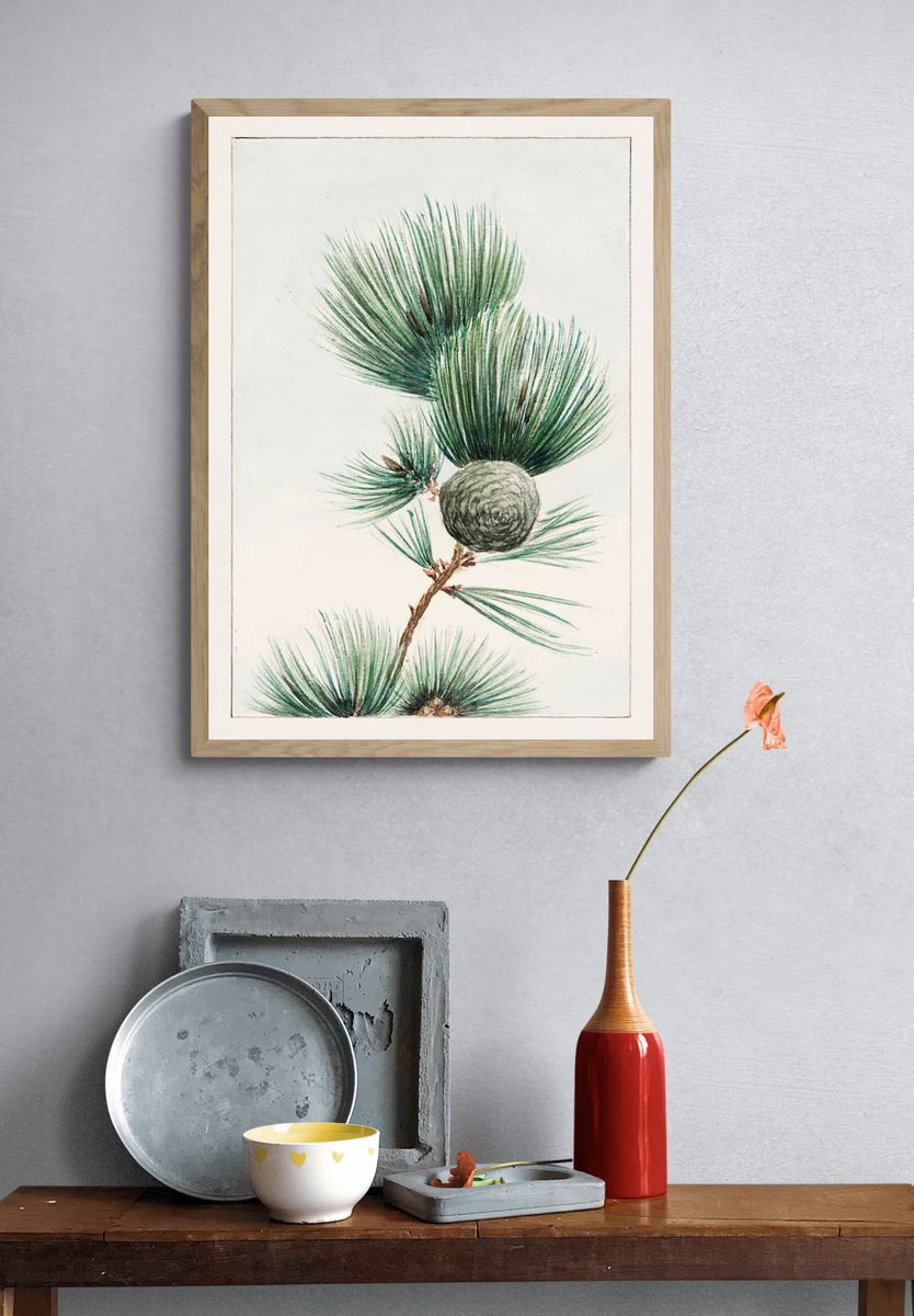 Gayo matsu pine 1870–1880 Megata. — room view 3