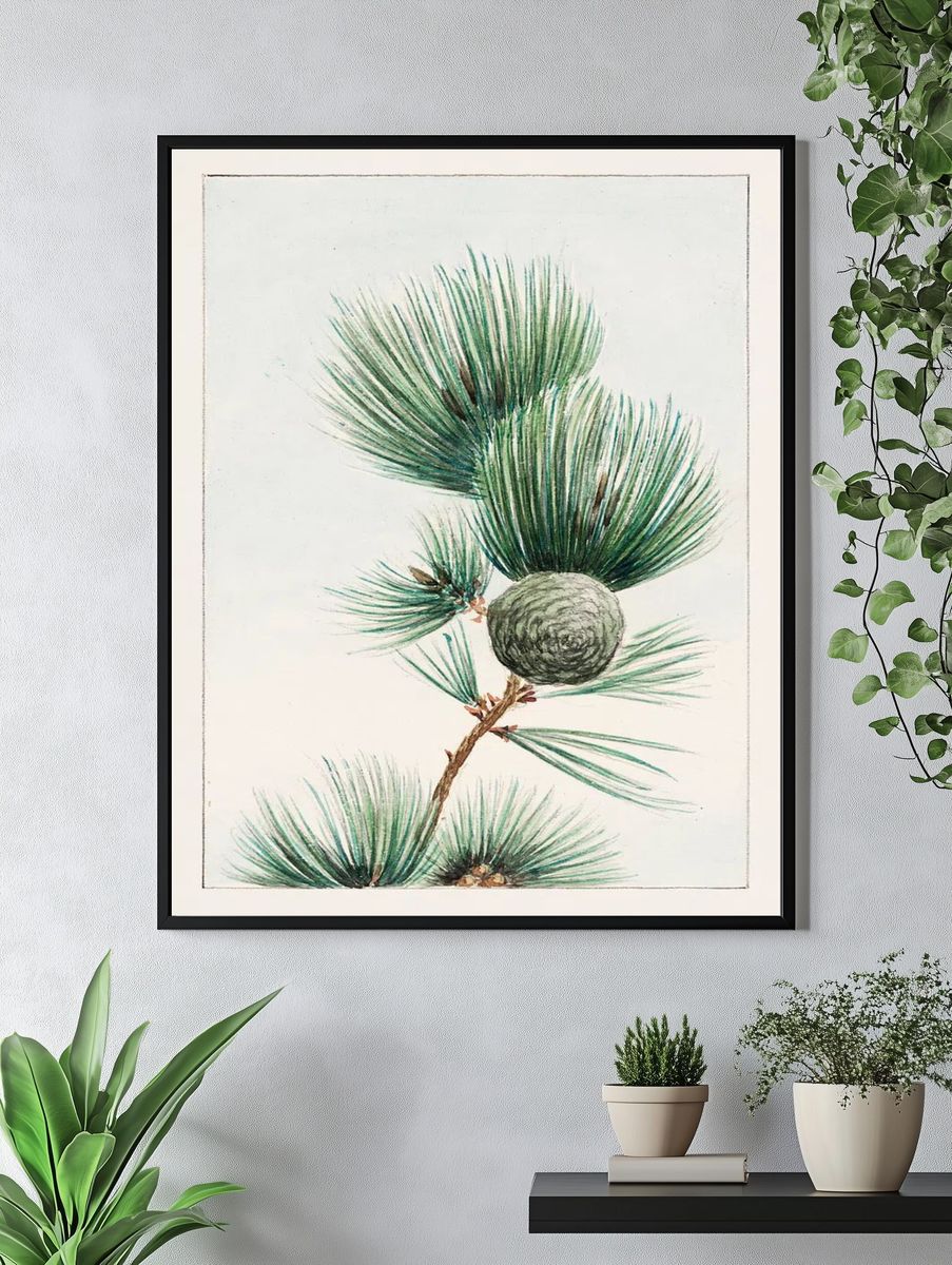 Gayo matsu pine 1870–1880 Megata. — room view 4