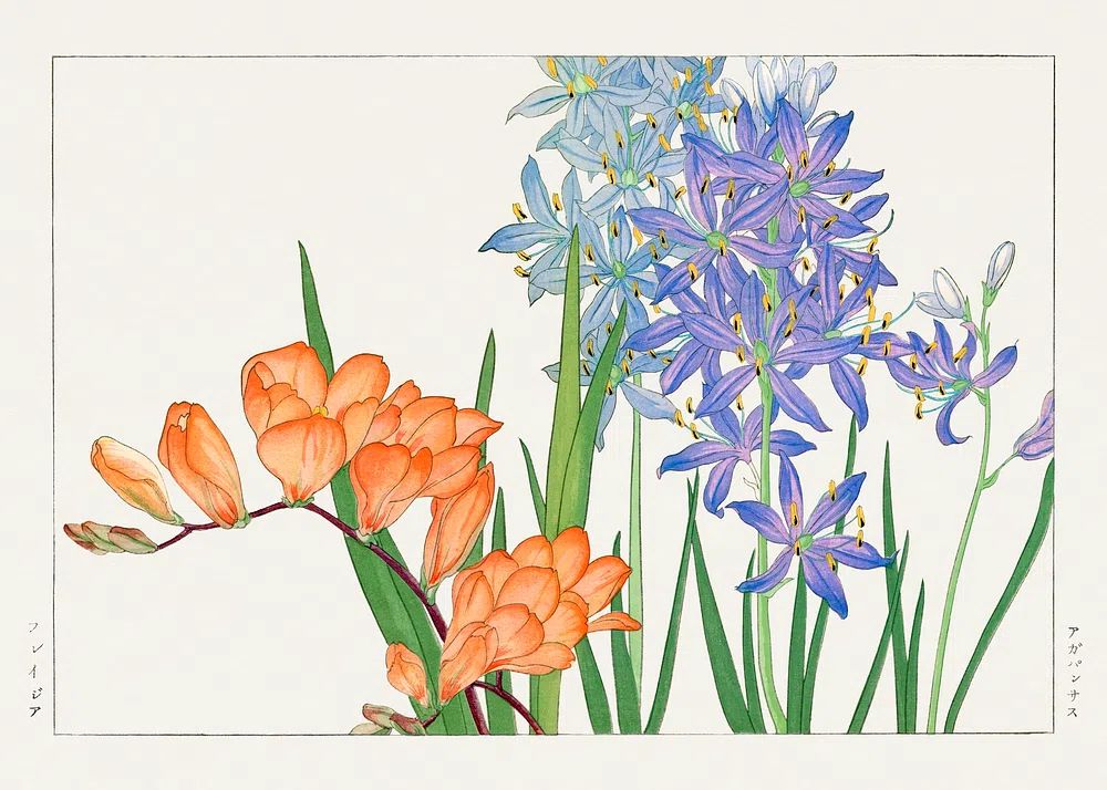 Freesia flower, Japanese woodblock art. poster — botanical art