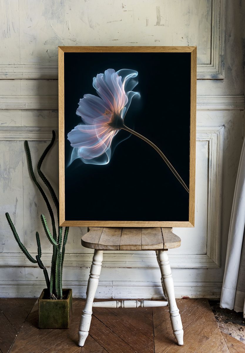 Glowing Flower Abstract Print. — room view 1