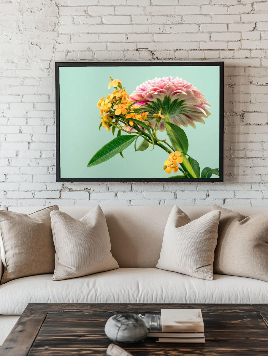 low-angle shot bottom pink dahlia. room preview