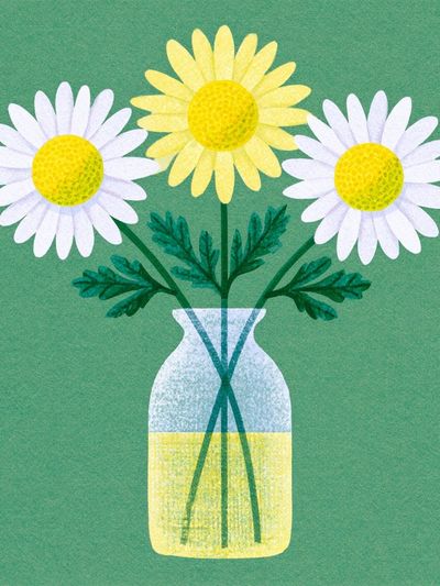 Daisy Bouquet in Vase Botanical Print. poster