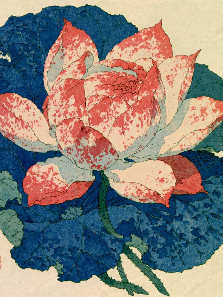 Lotus Bloom — Botanical Print. poster detail