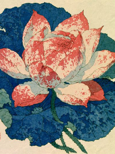Lotus Bloom — Botanical Print. poster