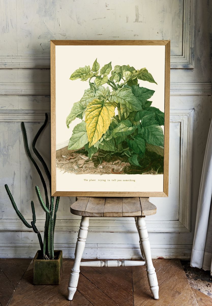 Wilting Plant Watercolor Poster. — room view 1