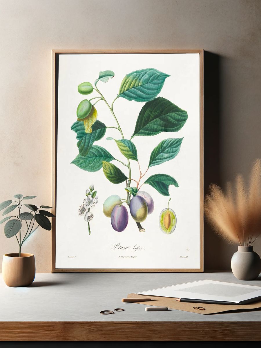 Traité des arbres fruitiers: Prune. — room view 2