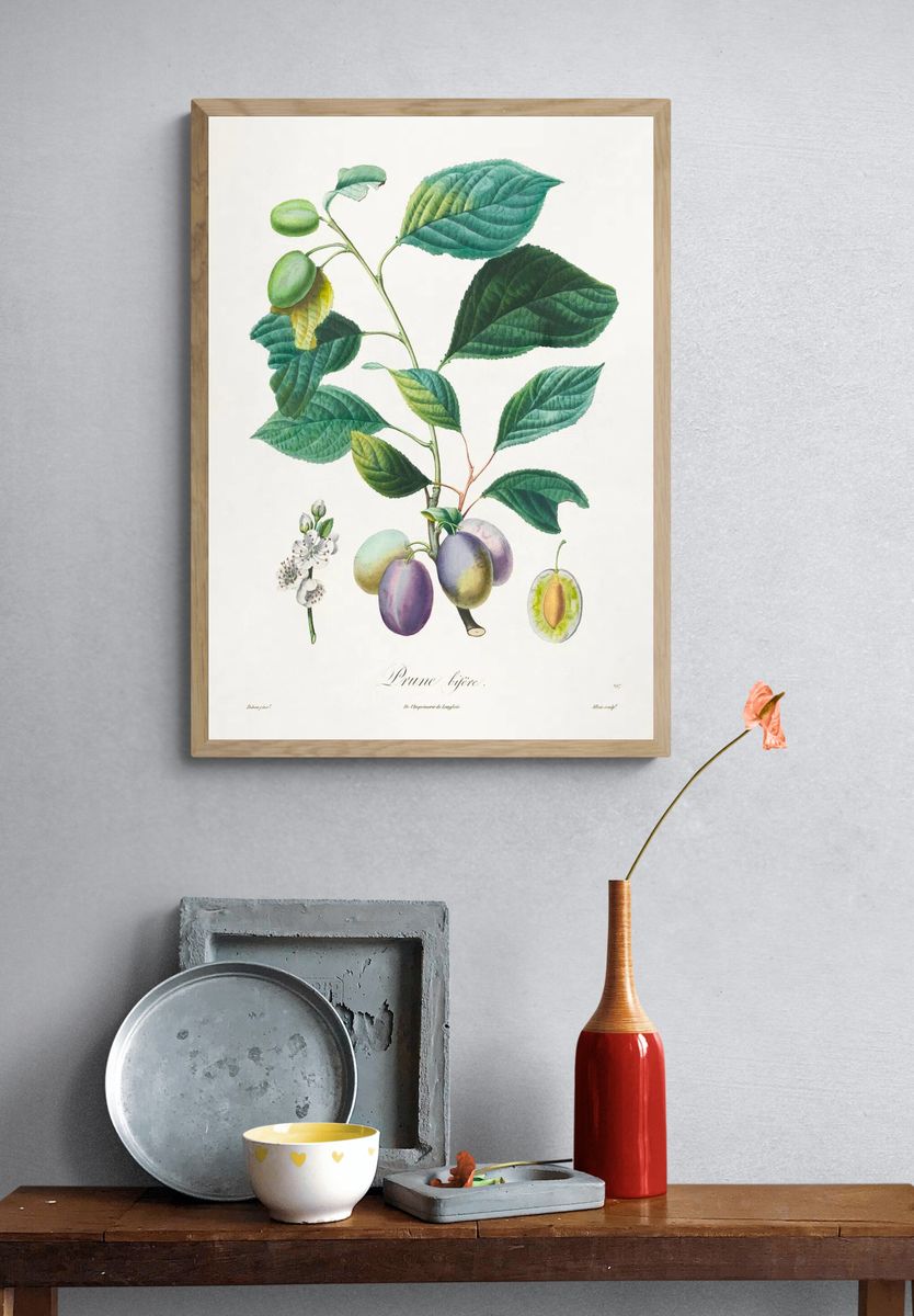Traité des arbres fruitiers: Prune. — room view 3