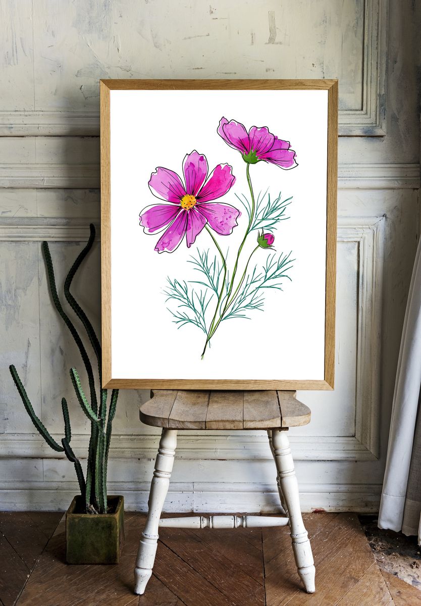 Pink Cosmos Botanical Print. room preview