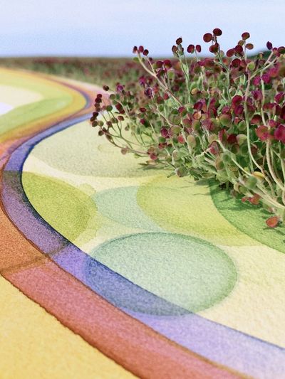 Rainbow Botanical Abstract Poster.