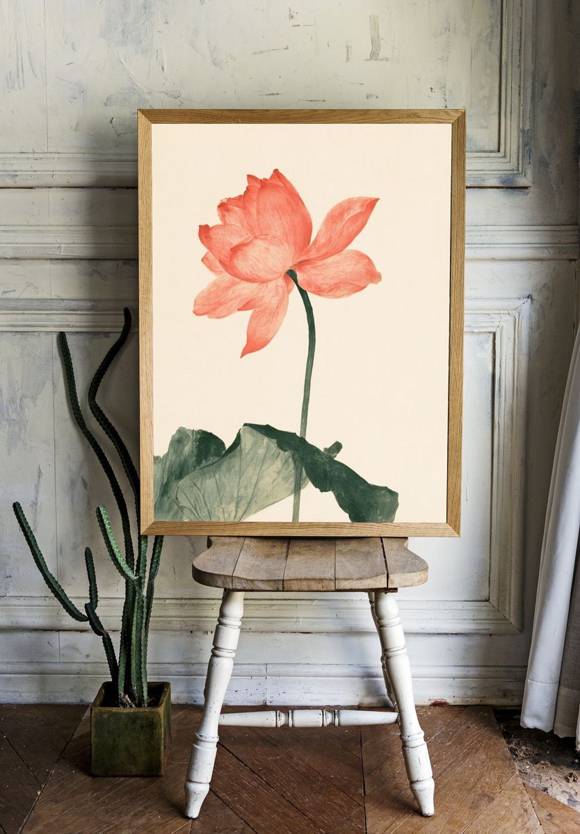 Coral Lotus Botanical Print. — room view 1