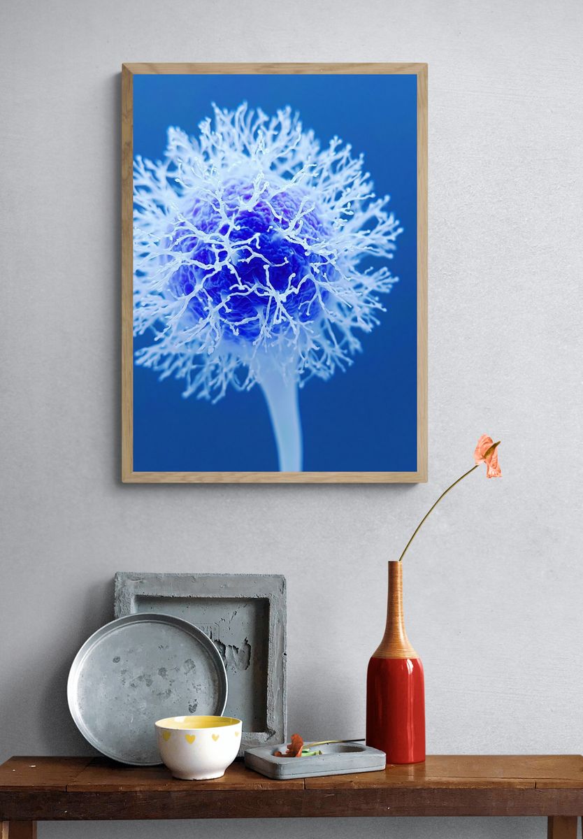 Blue Coral Bloom Botanical Print. — room view 3