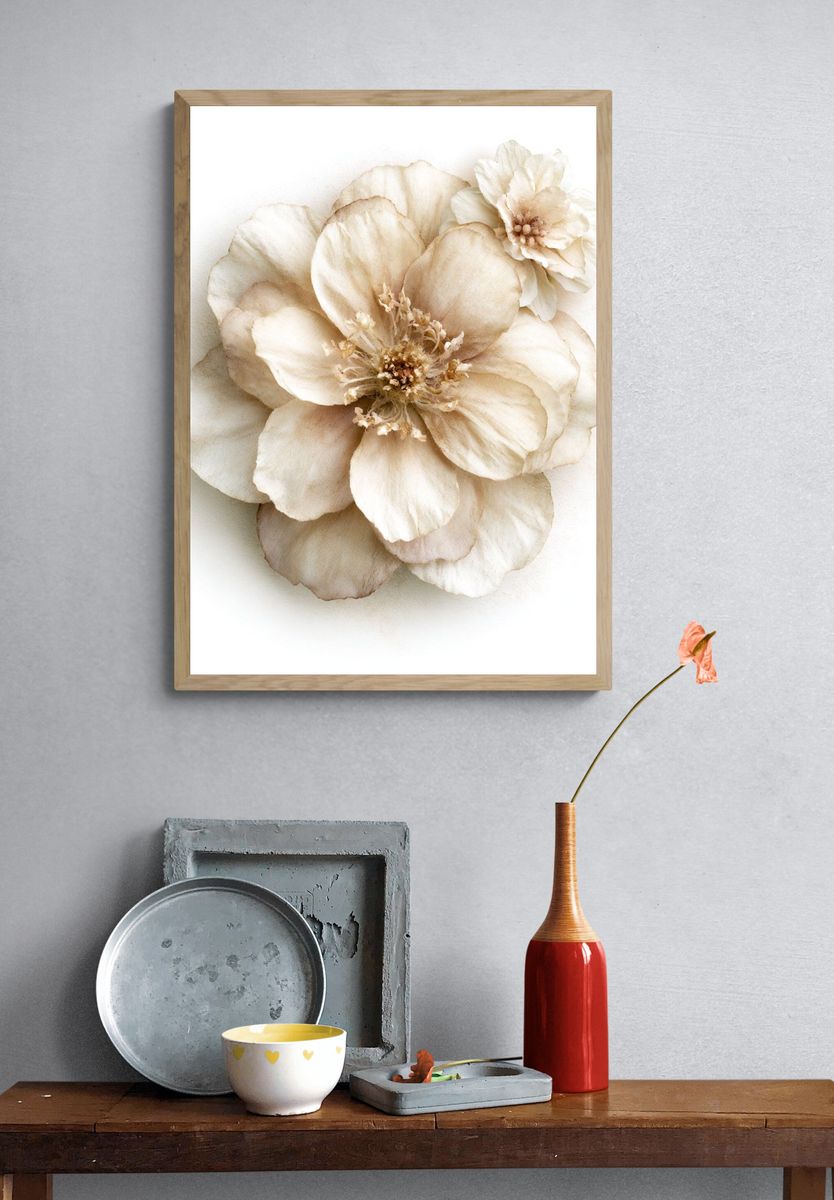 Cream Blossom Botanical Print. — room view 3
