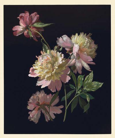 Flower Study, Peonies (1900), vintage. poster print
