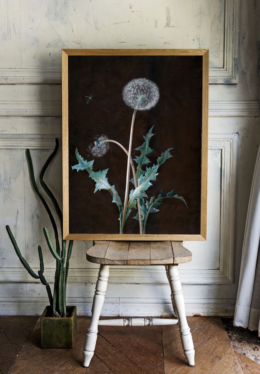 Dandelion (1755) painting high resolution. room preview